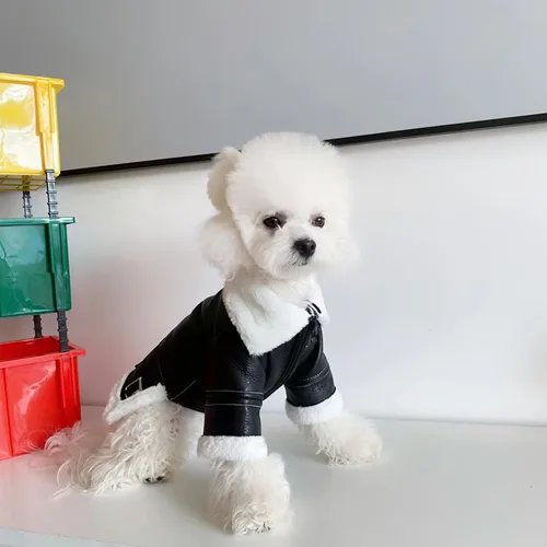 반려동물 보온 재킷, 소형견 양모 스웨터, 패션 가죽 코트, 치와와 몰타 요크셔 푸들, 겨울 가을 2
