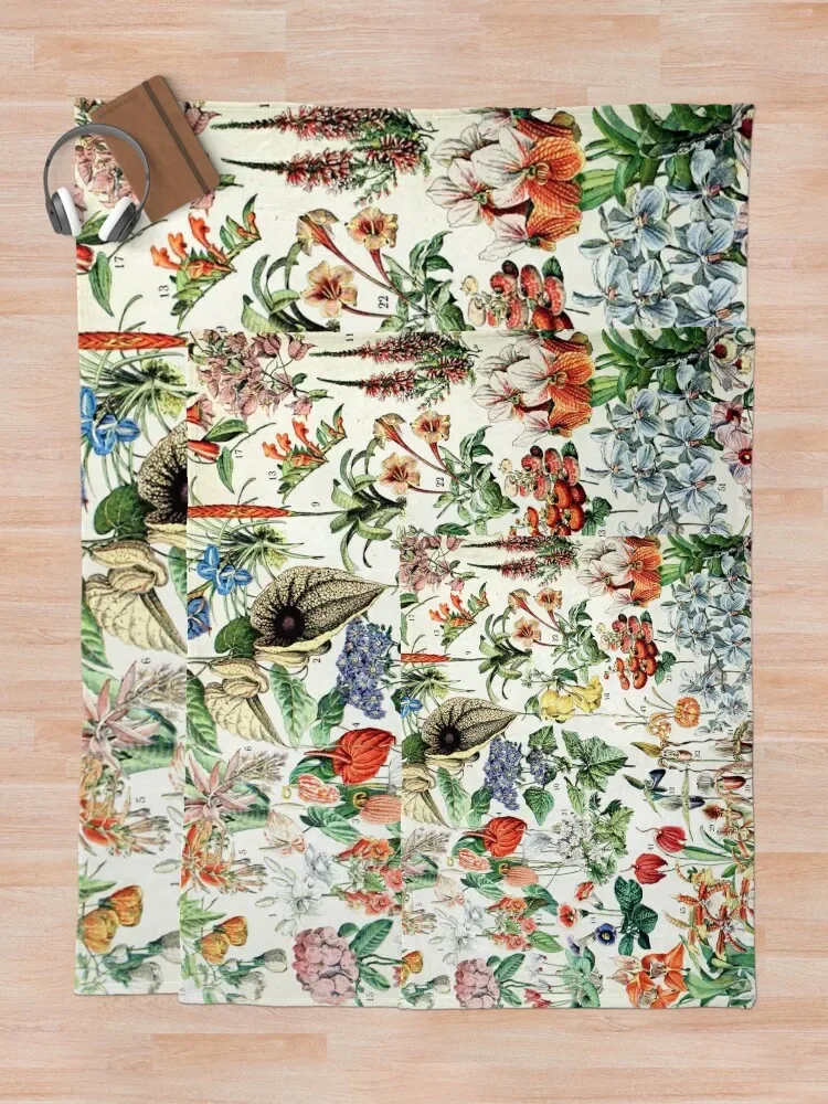 Adolphe Millot - Fleurs D-������ ��Ƽ�� ������ ������ ���, �ٸ��� ���� ���, ���� ���� ���