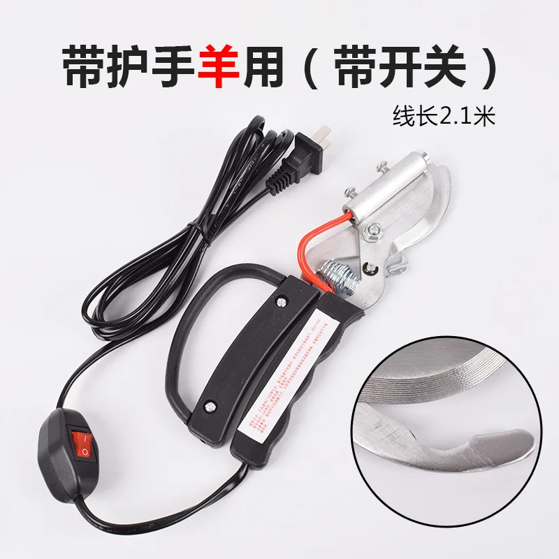 for Sheep s Tail