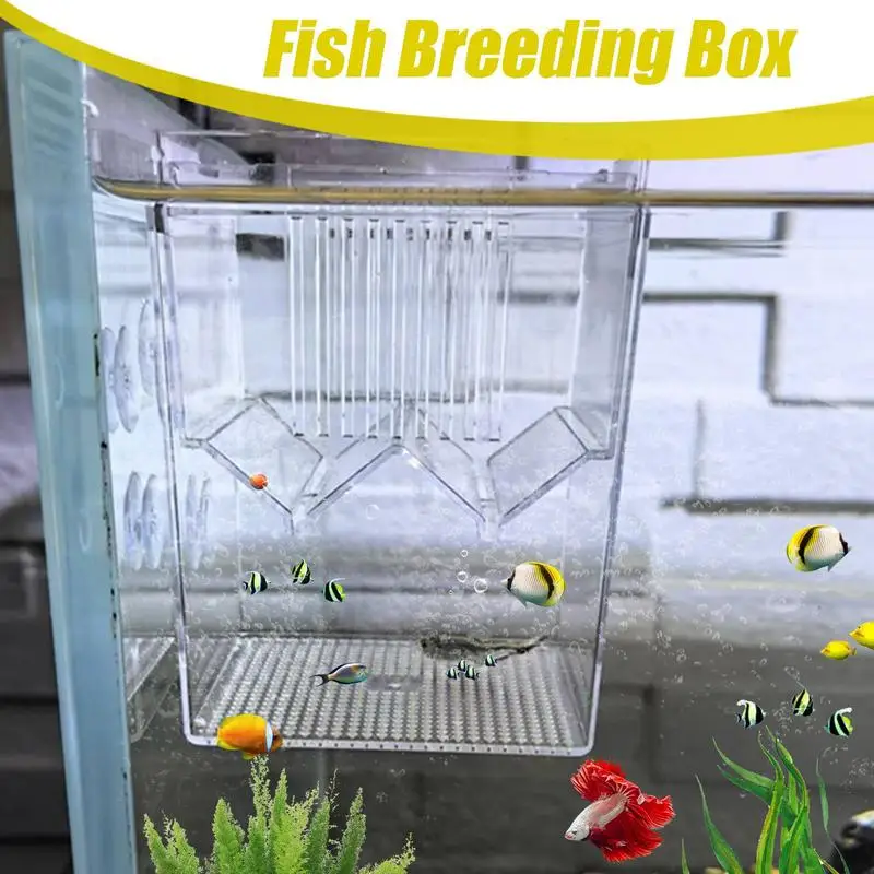 Fish Breeding Box Aquarium Fish breeding Box Durable Fish tank guppy breeding isolation box Clear Hatching Incubator For Baby Shrimp