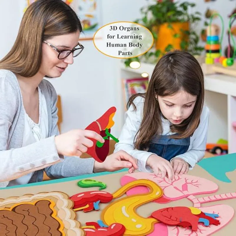 1pc 30.7*20.47inch Felt Human Body Structure Cognitive Map DIY Puzzle Educational Toy for Children Busy Board Organs Puzzle