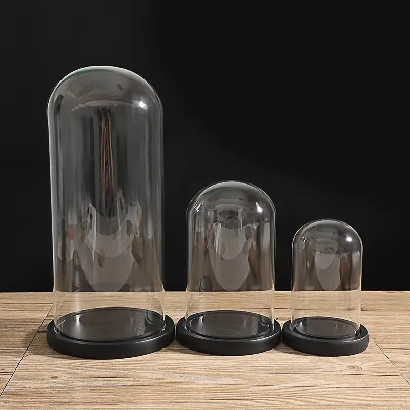 Dia15cm 18cm Glass dome With Black Wooden Base Bell Shape Flower Cover Stand display Wedding Decoration 3