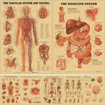 Buy Saf3e0c5024c24ed5969b46f034a04760s. in Australia.