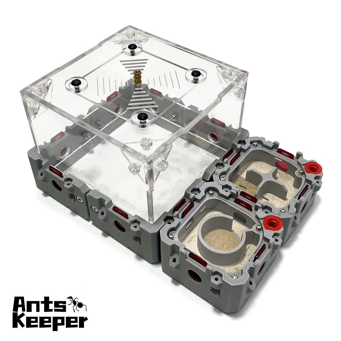 Basis-Set Erweiterbares Modulares Formicarium mit Futterbereich, Geeignet für die Meisten Ameisenarten, Original Ameisenbienenstock für Ameisenhaltung – Detail 3