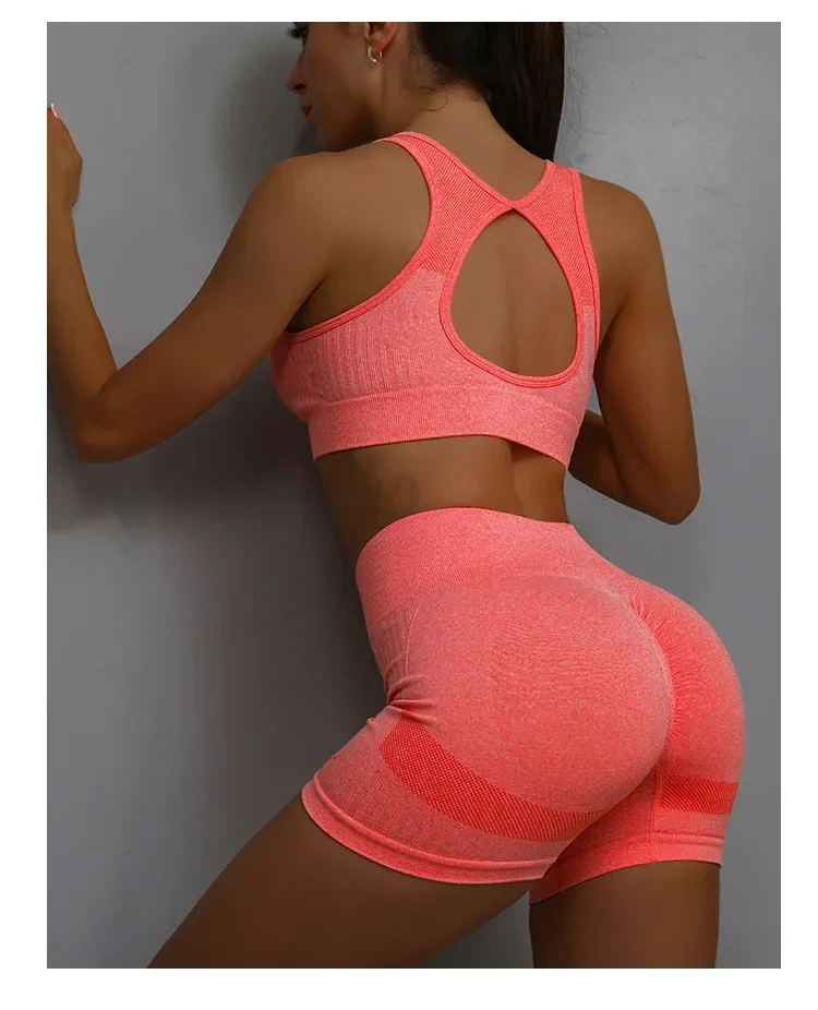 Women's Seamless Yoga Set Hollow Back Bra and Shorts