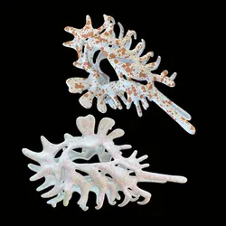 Creativity Unique Colorful Alien Metal Conch Hair Claws for Women Girl  Harajuku Y2K Headwear HUANZHI 2023 NEW INS Hairpin