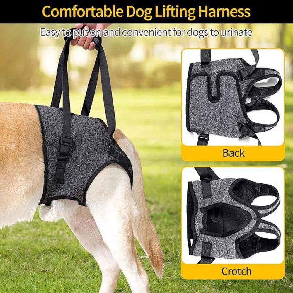 Best-Selling Pet Products For Injured Dogs With Hind Legs Support And Forrly injured dog rehabilitation straps with traction as