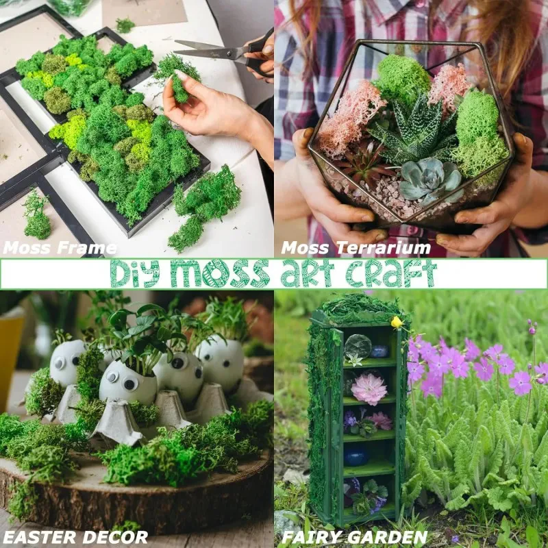 20/40/60g Eternal Life Moss Grass Artificial Green Plant for Home Garden Room Decoration DIY Crafts Mini Landscape Fake Flowers