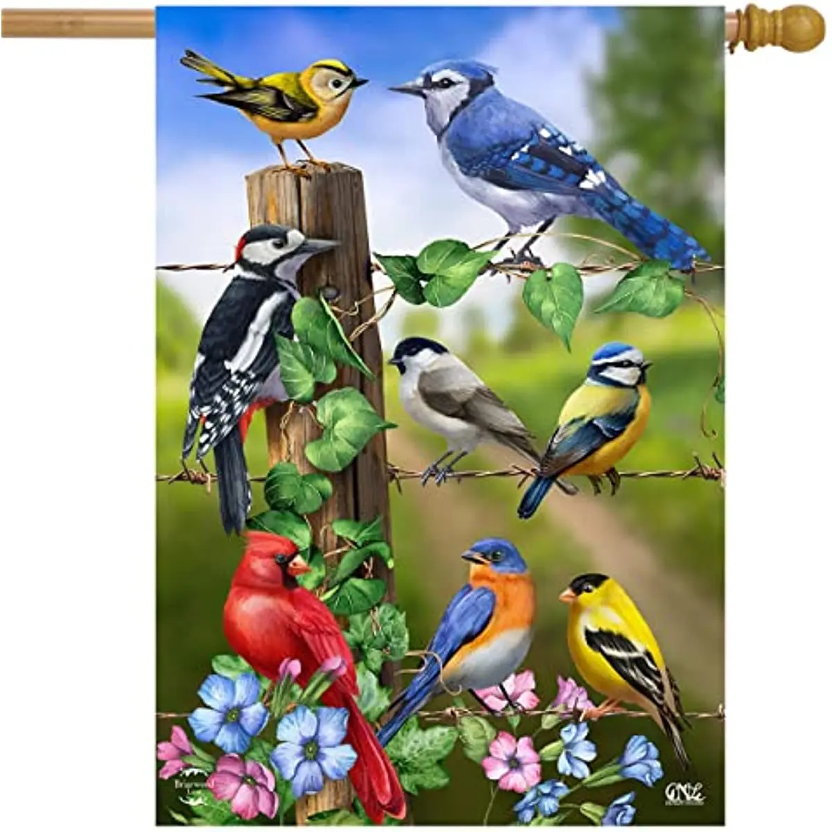 

New Country Birds Spring House Flag Goldfinches Blue Jay