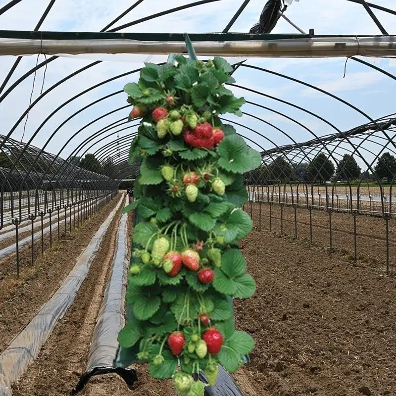 

Strawberry Hanging Grow Bags Reusable Planting Pot Greenhouse Vegetable Flower Plant Waterproof Container Garden Supplies