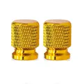 Gold-2Pcs