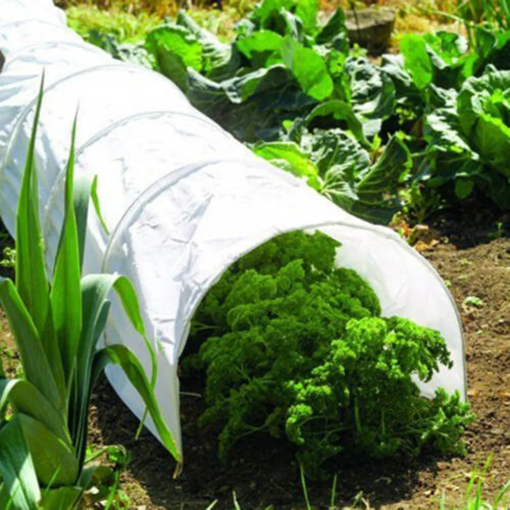 

Greenhouse Tunnel Foil Plastic Horticultural Polythene Sheet Plant Cover Made Of High-Quality Material, Durable Practical Use