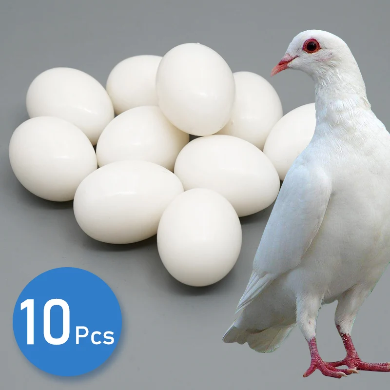 10Pcs White Solid Plastic Fake Pigeon Eggs Dummy Lifelike Fake Eggs For Hatching Supplies Training Tools Pet Training Toys plastic eggs plastic chicken eggs chicken fake eggs
