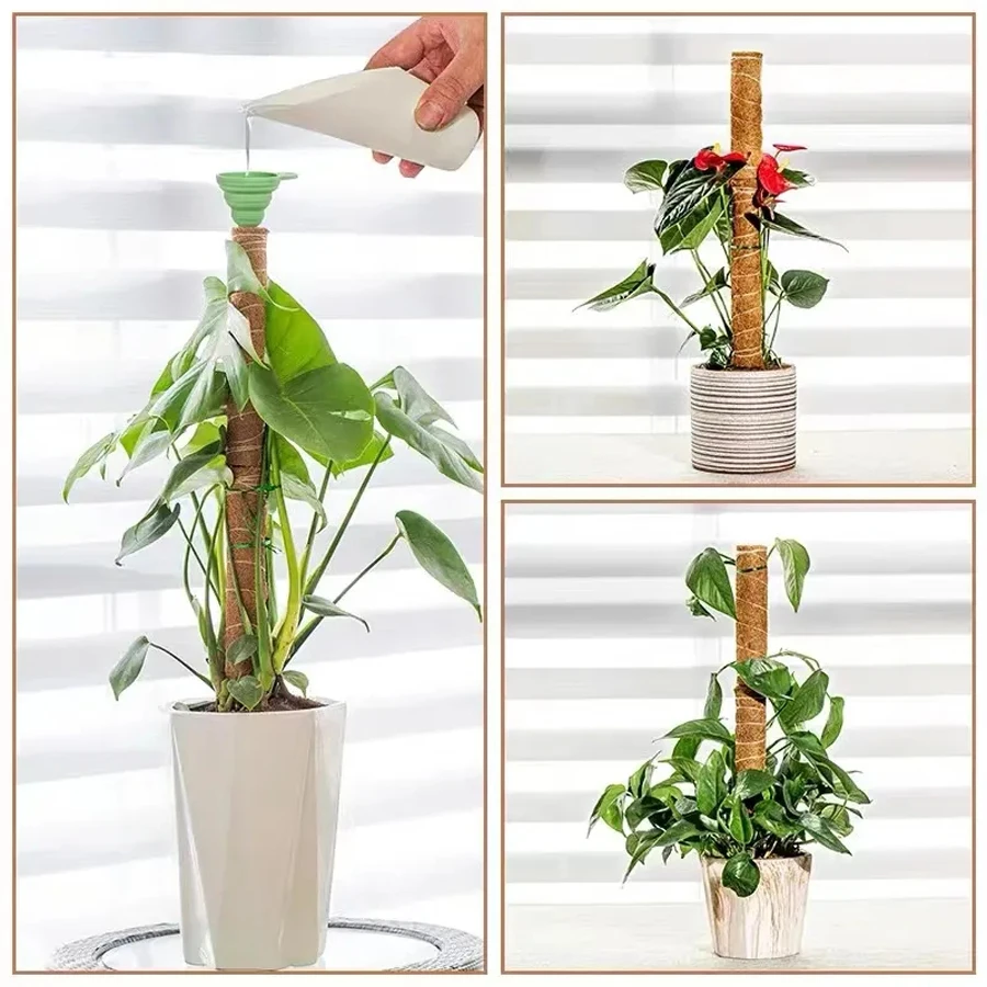 30/40/50cm Plant Climbing Rod Climbing VineCoconut Palm Rod Diy Reusable Stick PlantSupport Moss Palm Vines Stick Extension