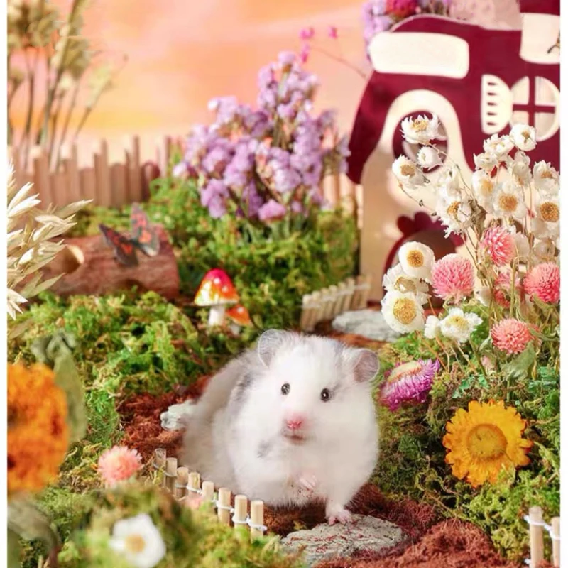 

Hamster Pet Natural Harness Hamsters Small Pet Cage Landscaping Beautiful Dried Flowers Pets Cage Decoration Hamster Supplies