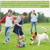 Interactive Dog Football Toy Soccer Ball Inflated Training Toy for Dogs Outdoor Border Collie Balls For Large Dogs Pet Supplies 5