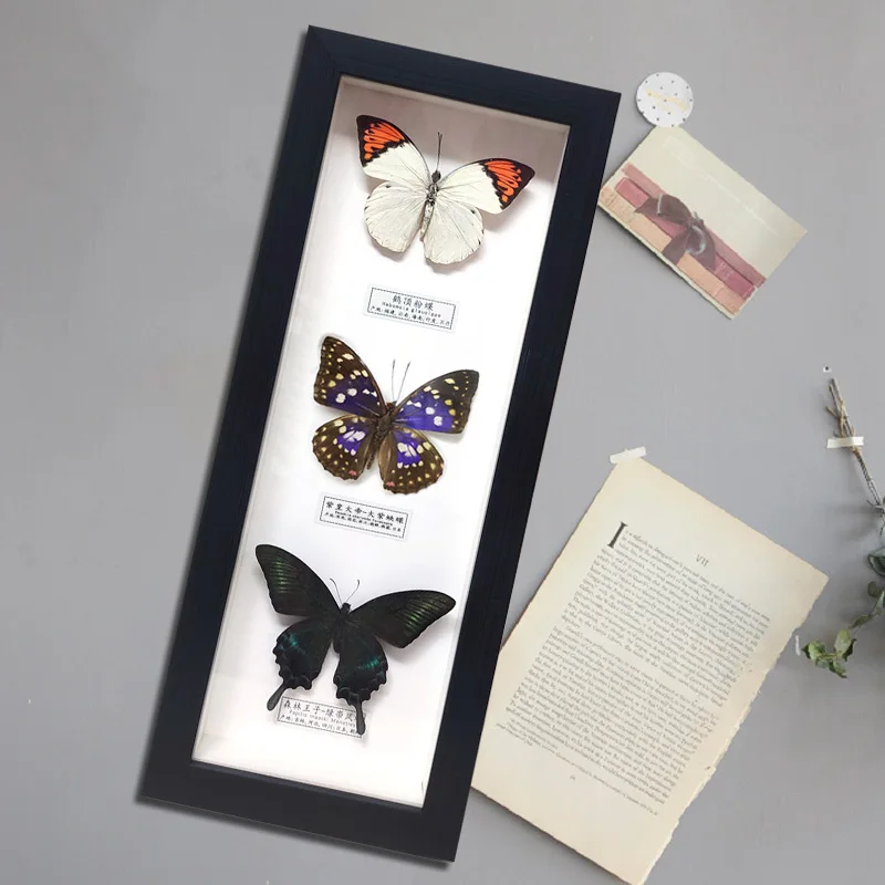 

Real butterfly specimen handicraft decoration pendant collection birthday gift butterfly specimen picture frame home decor