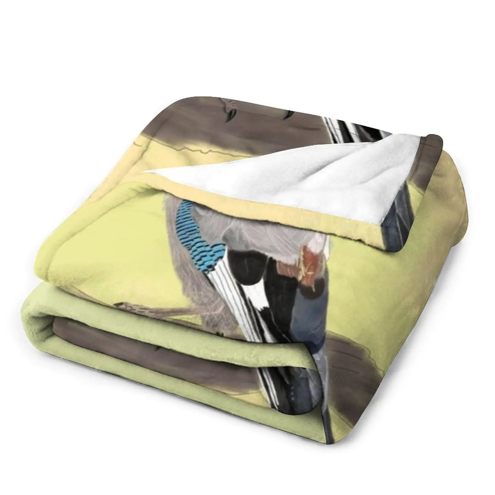 ����þ� ���� ���ο� ���, ���� ���� ���, ���� �̺�, �ʴ��� ���ο� ���