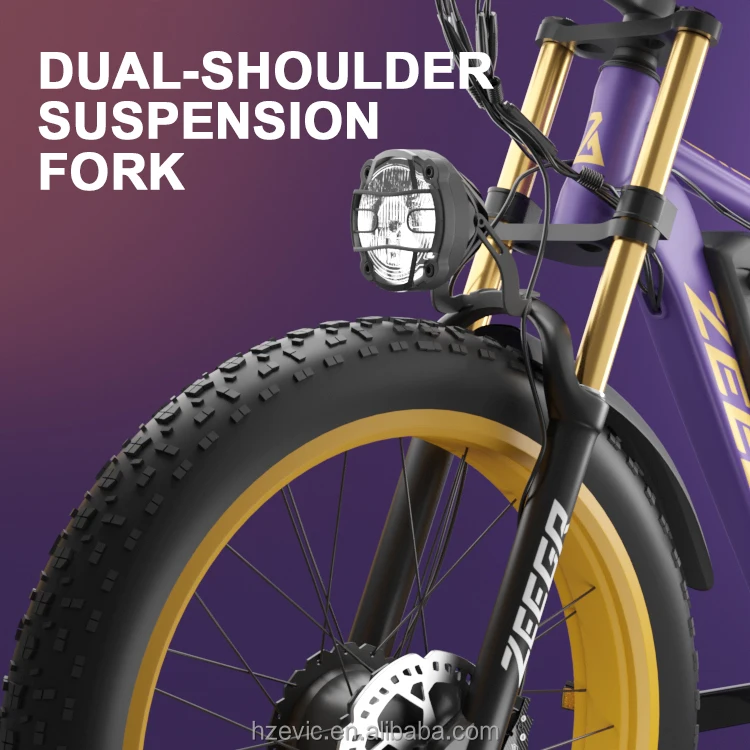 Road Oem Odm Electric Bicycle Long Range for Adult 48V 2000W 1000W 22.4Ah Dual Suspension Fat Tire E Bike Mountain Electric Bike 6