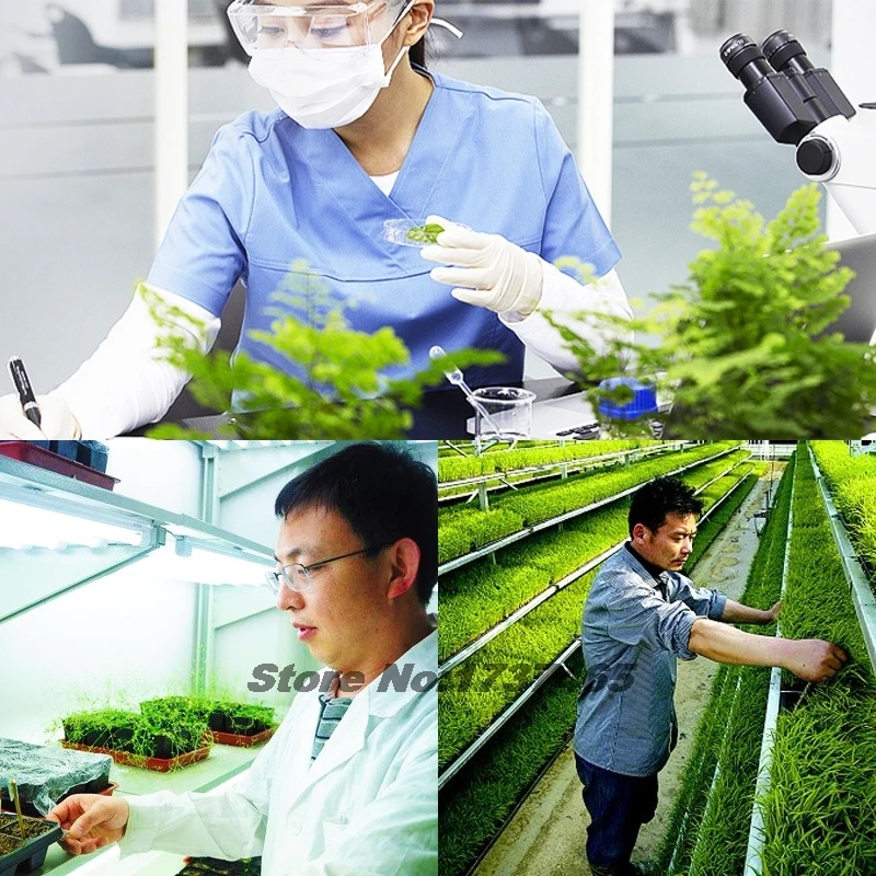 25g Tomato specific fertilizer trace element foliar fertilizer Coloring to increase redness and increase fruit set rate Garden plant compound fertilizer
