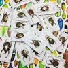 A/Real Insect Specimens Multiple Varieties of Wet Insects with Endless Pose Children's Gifts Student Popular Science Teaching 4