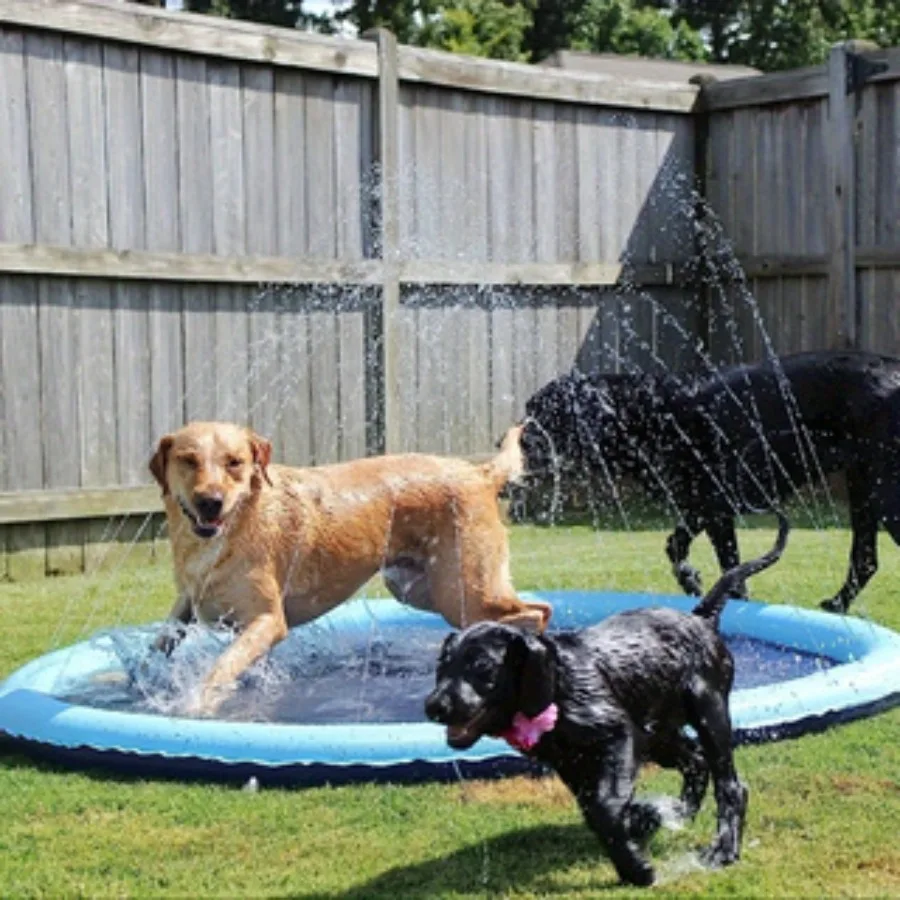 Saf58fbd4af93493ba32a71c833200bf5S