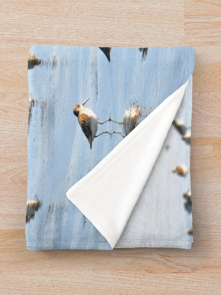 �ؾȻ� ������ ��� �̱� ��� �ʴ��� ������ ��� ���� ���