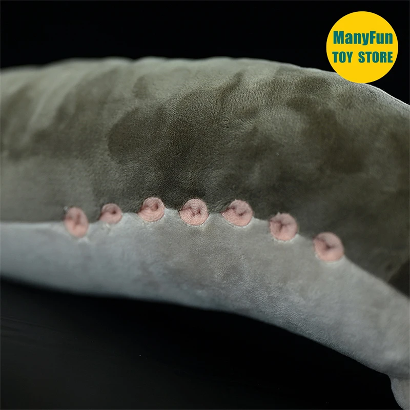 Lamprey Plush Toy High Fidelity Eel Plushie Hagfish Peluche Lifelike Stuffed Animals Simulation Doll Kawai Toy Gifts 6
