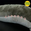 Lamprey Plush Toy High Fidelity Eel Plushie Hagfish Peluche Lifelike Stuffed Animals Simulation Doll Kawai Toy Gifts 6