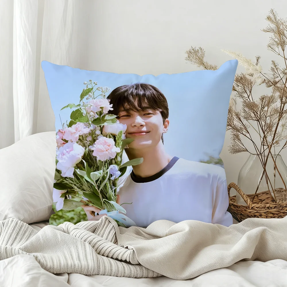 Popular Actors B-Byeon Woo Seok Kissenbezug für Schlafzimmer, Sofa, Wohnzimmer, Rückenlehne, Dekoration, quadratisches Kissen, Nickerchenzeit – Detail 6
