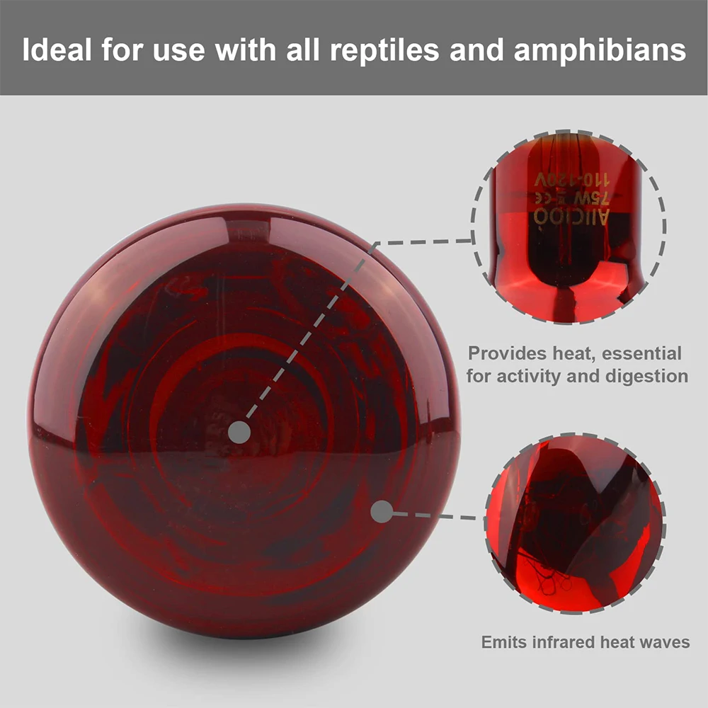 UVA Red Heating Lamp 220V Infrared Glass Bulb Amphibious Accessories for Reptiles Snake Lizards 25W 50W 100W Heating Bulb 3