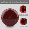 UVA Red Heating Lamp 220V Infrared Glass Bulb Amphibious Accessories for Reptiles Snake Lizards 25W 50W 100W Heating Bulb 3