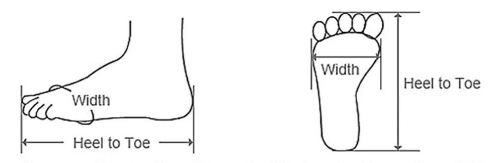 Scarpe eleganti décolleté