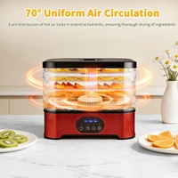 Déshydrateur alimentaire à 5 plateaux, prise UE, température et minuterie réglables, plateaux de séchage transparents, pour viande séchée, friandises pour animaux, légumes et collations 6