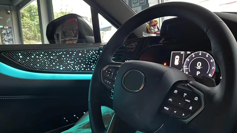 Suitable For Lexus Nx 2022 New Four Door Panel Colorful