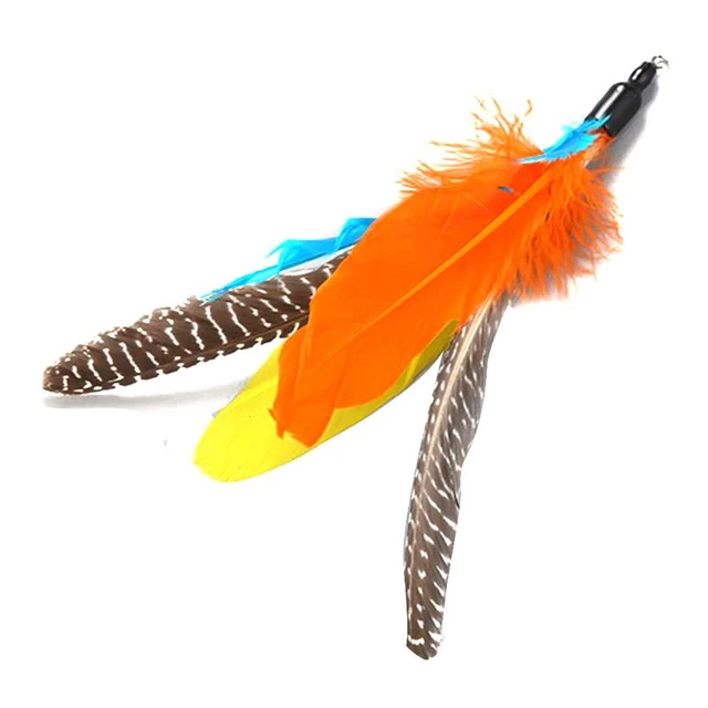 Interactive Feather Cat Toys Pet Cat Toy Fishing Rod Retractable