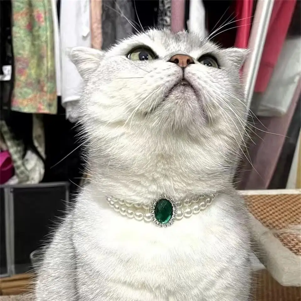 에메랄드 보석 진주 고양이 목걸이, 럭셔리 고양이 목걸이, 고양이 목걸이, 고양이 강아지, 여성 용품