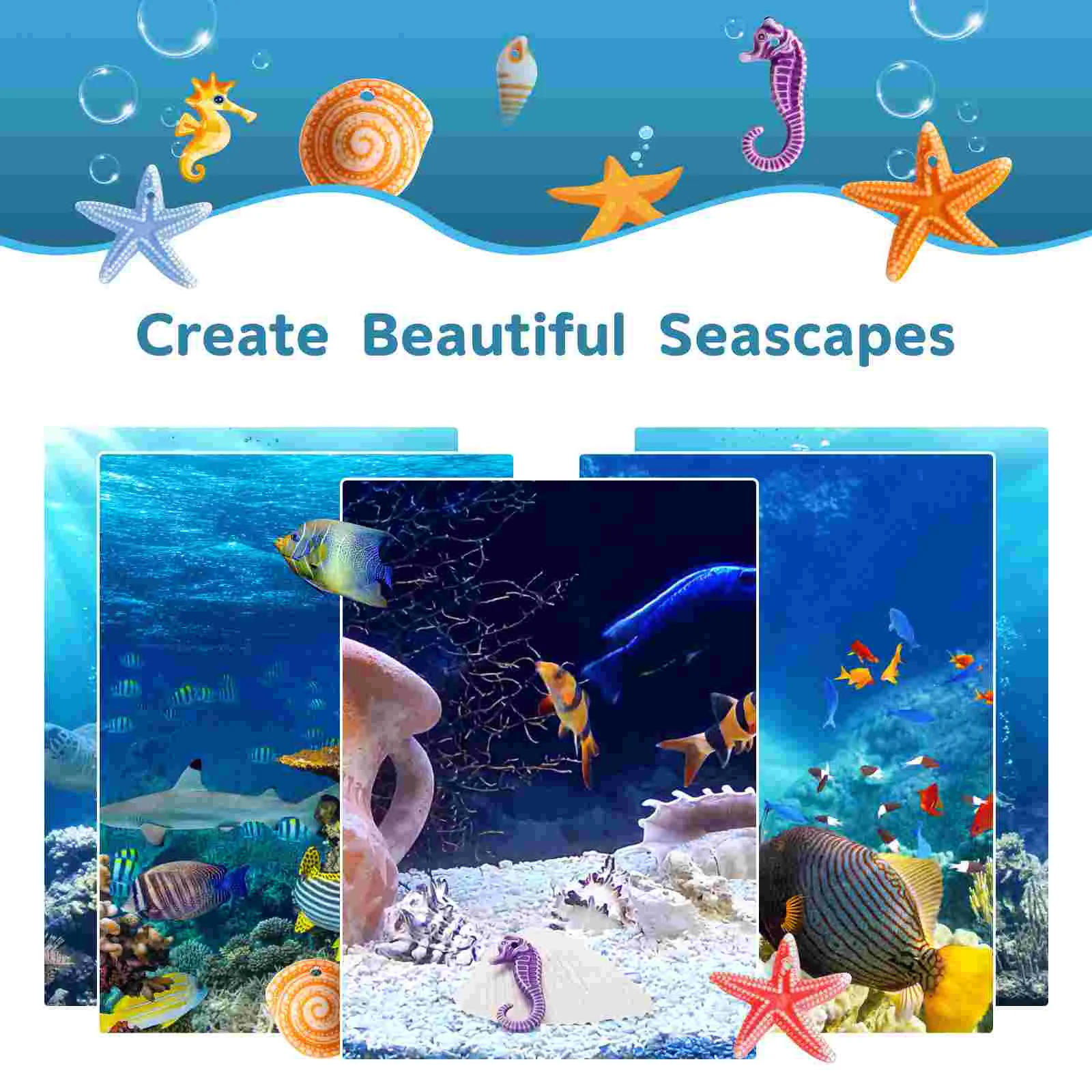 Sea Beach Shells Decorations Landscaping Ocean Crafts 4