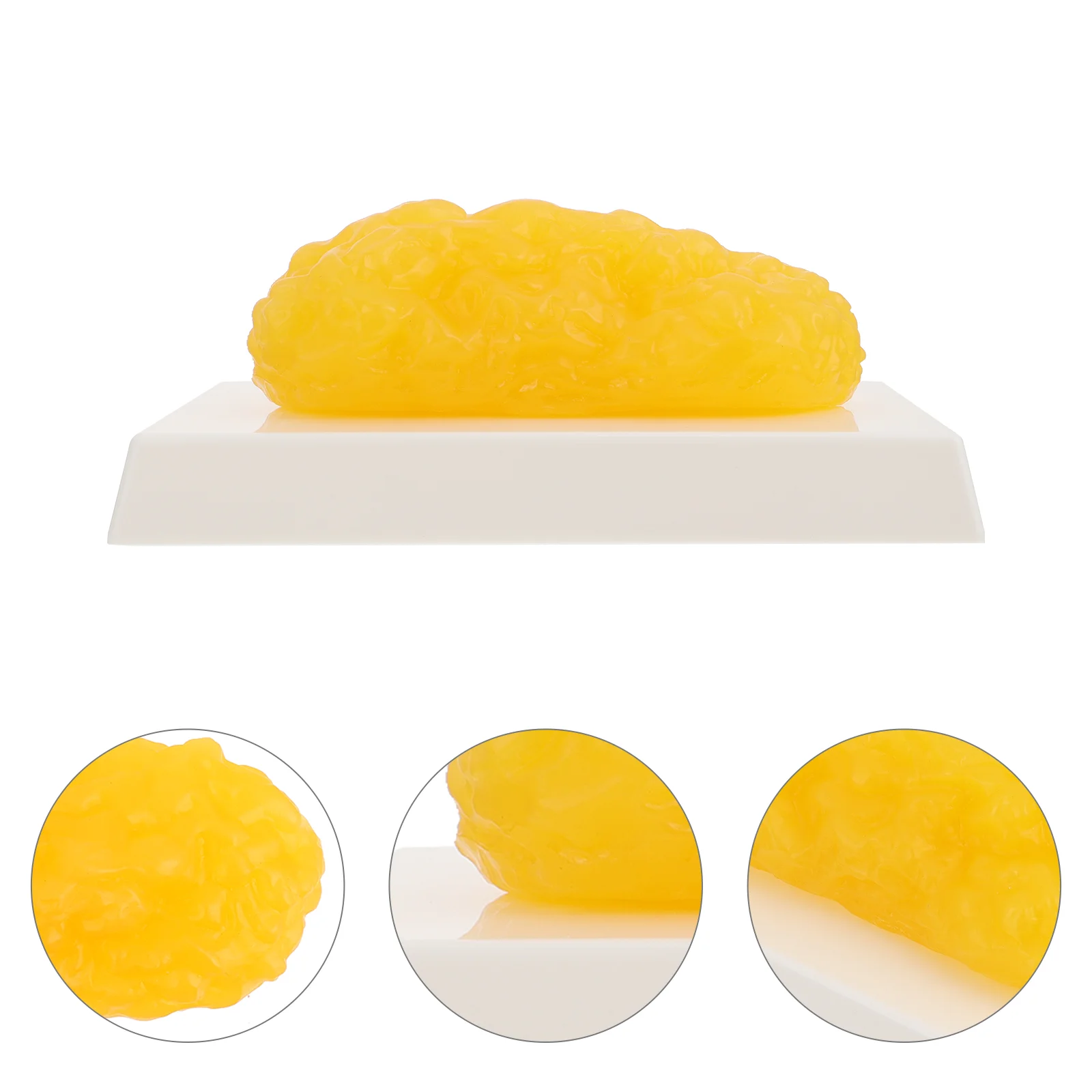

Human Body Fat Replica Pound Fat Model Fat Anatomical Fat Model for Keep Fit