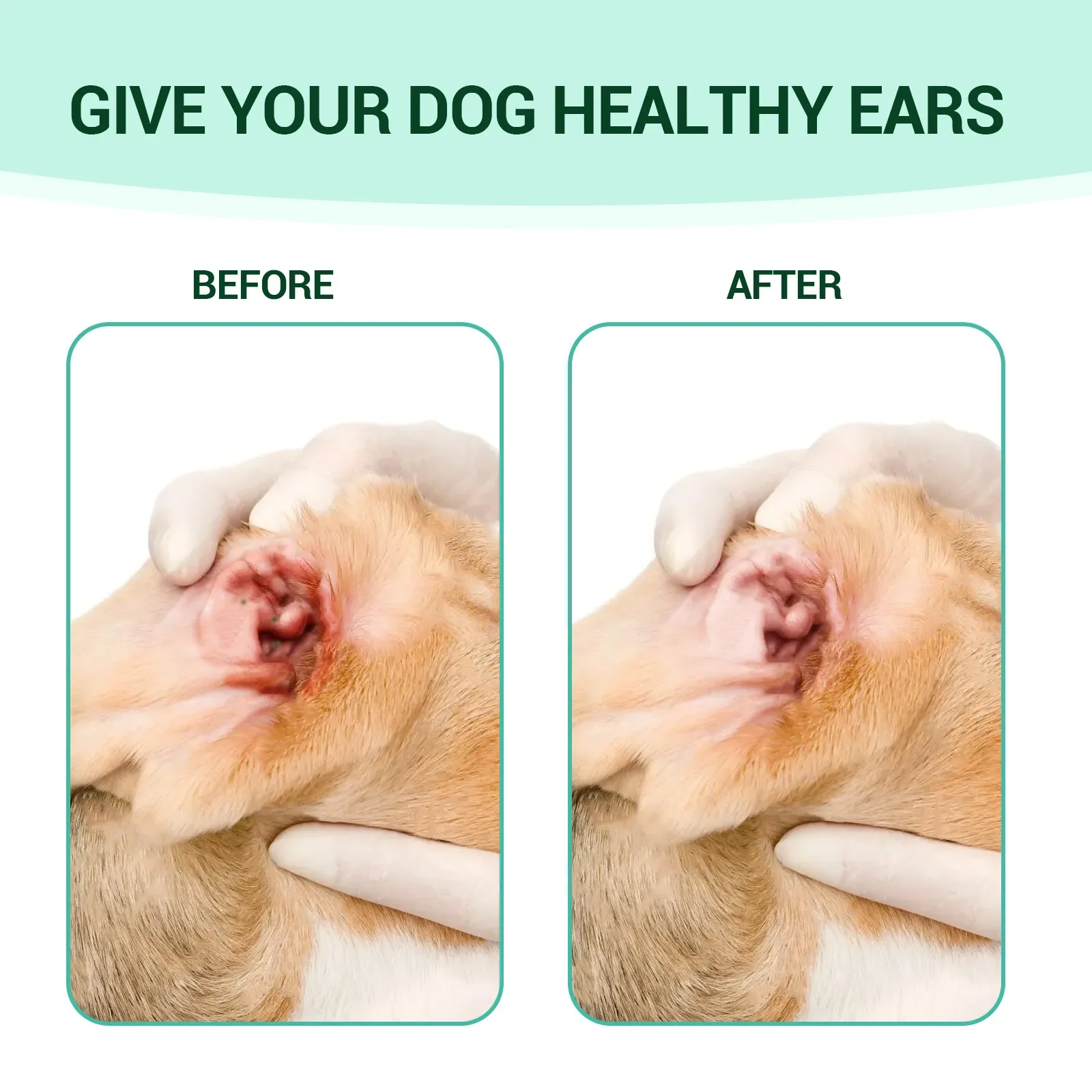Yegbong Pet Ear Cleansing Liquid, Universal Ear Cleansing for Cats and Dogs, Mite Removal Earwax Pet Drops