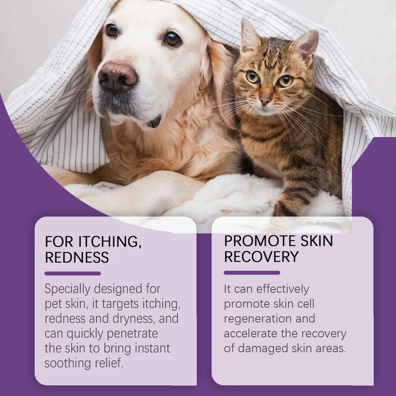 Crema para el cuidado de la piel de mascotas, loción calmante para la piel con picazón seca para perros y gatos, crema para aliviar la piel con picazón, loción para patas de gatos, bálsamo calmante 4