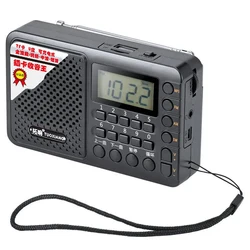 Portable Rechargeable Radio with LCD Display and Music Playback (Black)