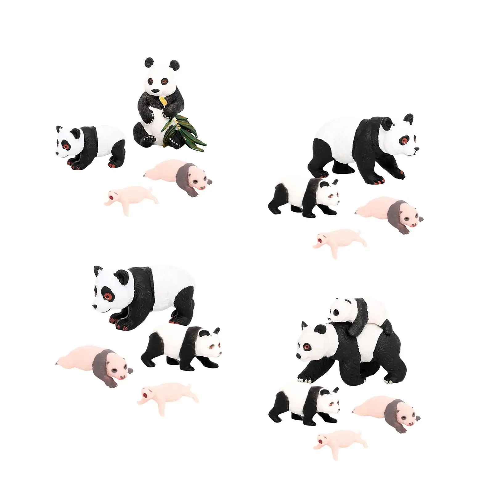 

4x Panda Animal Life Cycle Model,Cognitive Toys,Educational Toys,Party