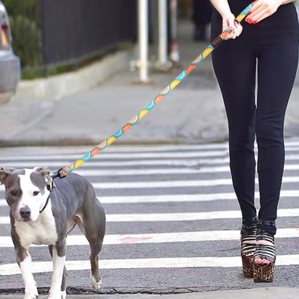 Fashion Nylon Dog Leash Printed Dogs Leashes For Small Medium Large Dogs Soft Pet Walking Lead Rope Chihuahua Pitbull Bulldog