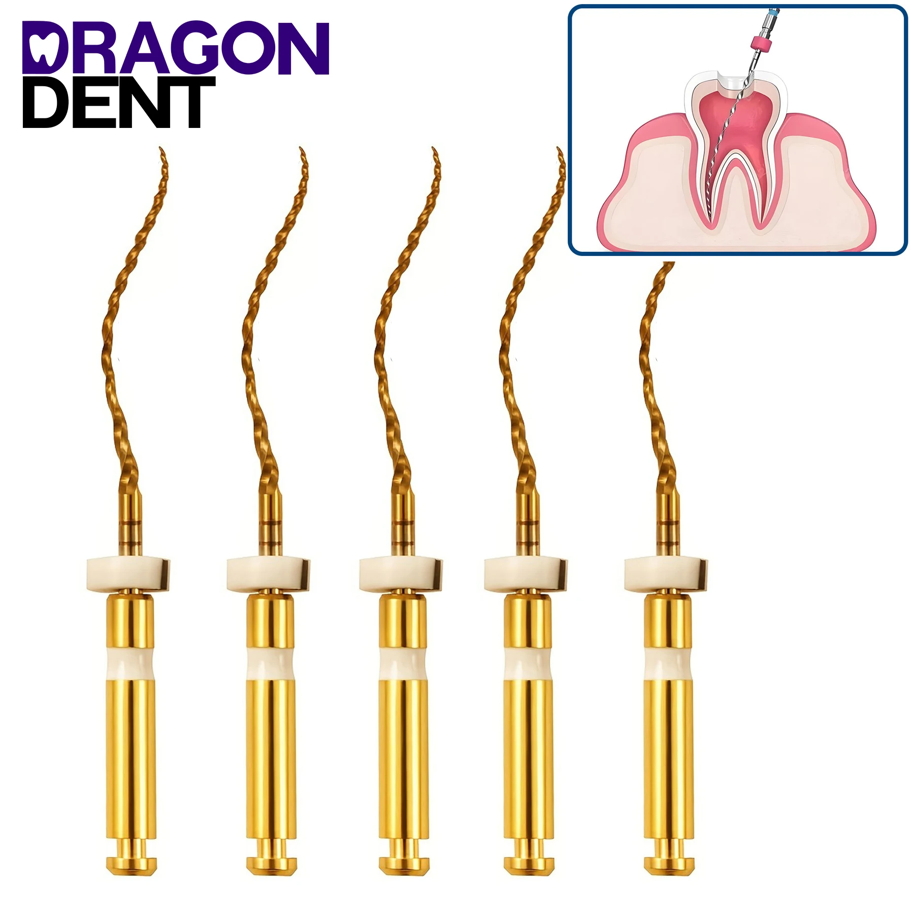 Sarro Dental Limpiador 5 Cajas Dental Endodoncia NiTi Uso Del Motor Activado Por Calor