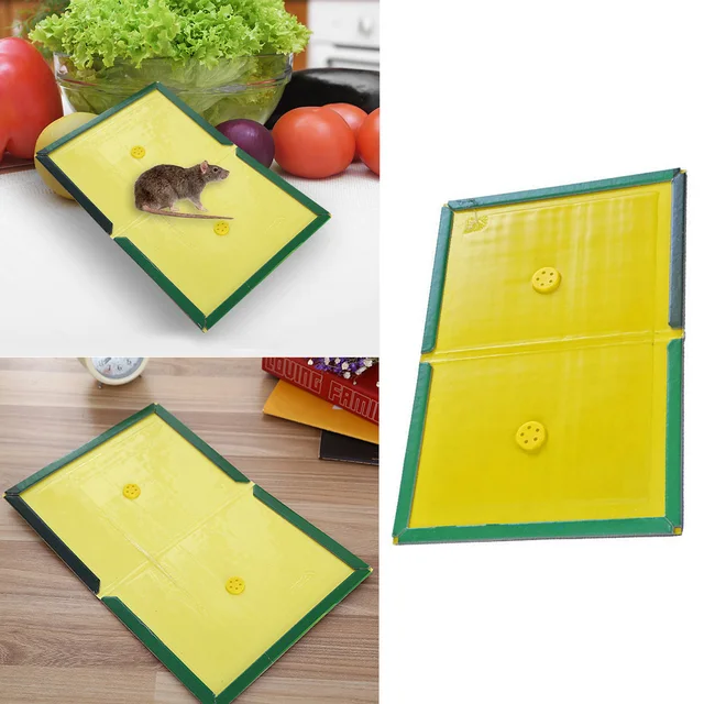 Ragadós Patkánycsapdák Nem Mérgező Kártevőirtó Csapdák, Amelyek Készen Állnak A Szabadban Lévő Beltéri Használatra. - Image 2