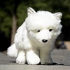 Arctic Fox High Fidelity Anime Cute Plushie White Polar Fox Plush Toys Lifelike Animals Simulation Stuffed Doll Toy Gifts Kids 3