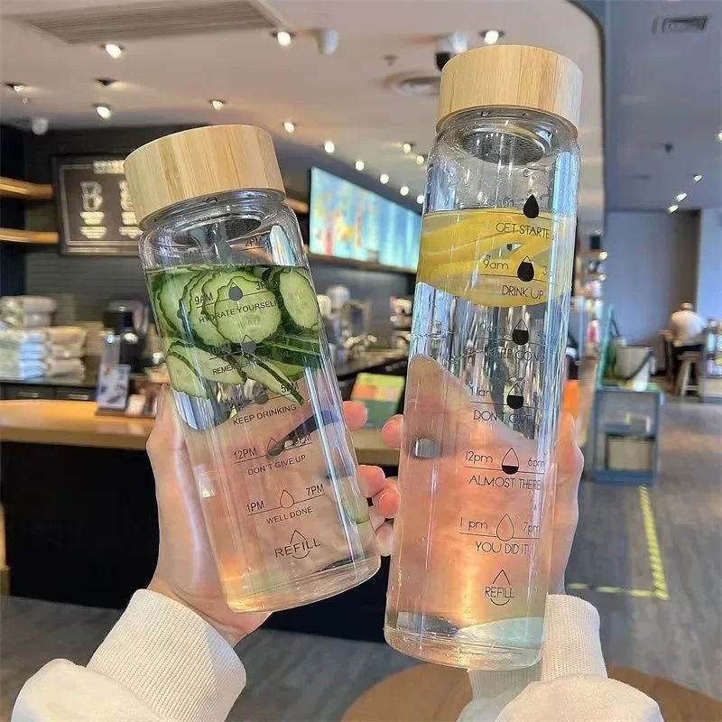 Borosilicate Glass Tea Infuser Water Bottle with Stainless Steel Filter