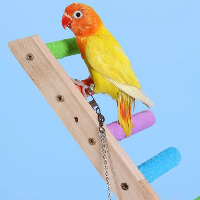 Bird Climbing Ladder - Various Steps Sizes 6