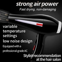 Press high power anion constant temperature hair dryer quick drying hair salon stylist for the blower 5800 2